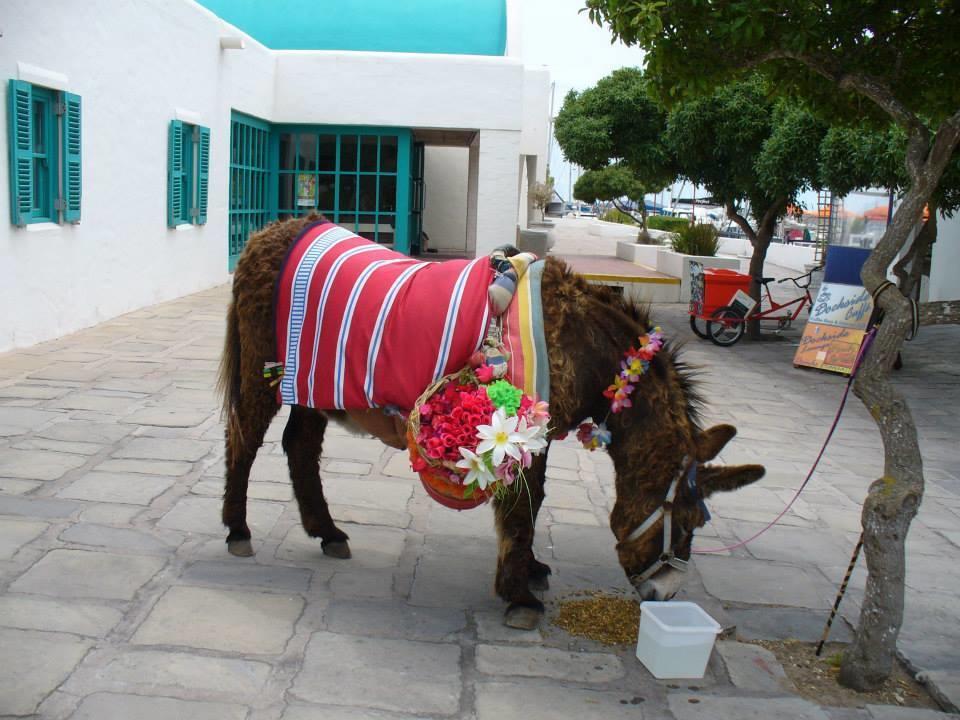 Mykonos Holidays @ Club Mykonos ランゲバーン エクステリア 写真